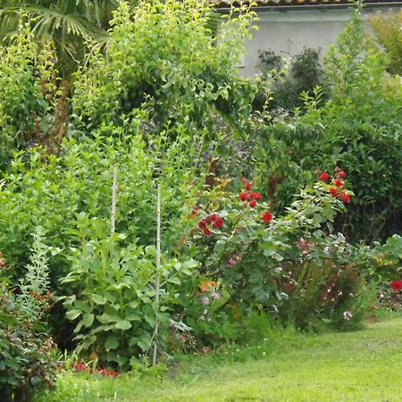 Damechouette Bed & Breakfast Pujols  Dış mekan fotoğraf