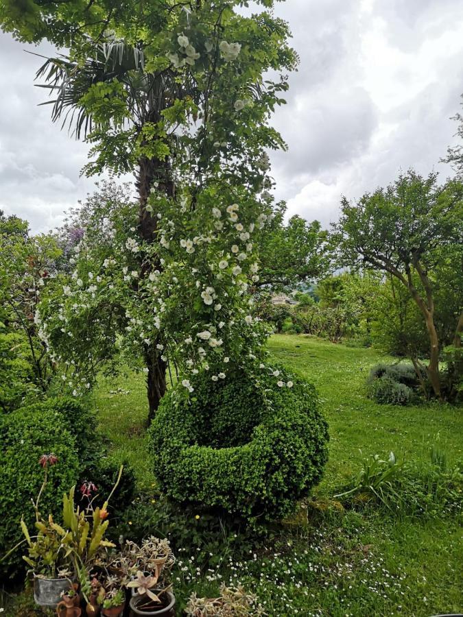Damechouette Bed & Breakfast Pujols  Dış mekan fotoğraf
