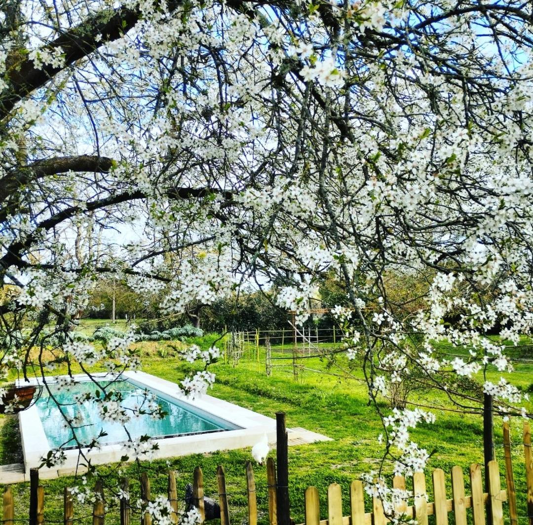 Damechouette Bed & Breakfast Pujols  Dış mekan fotoğraf