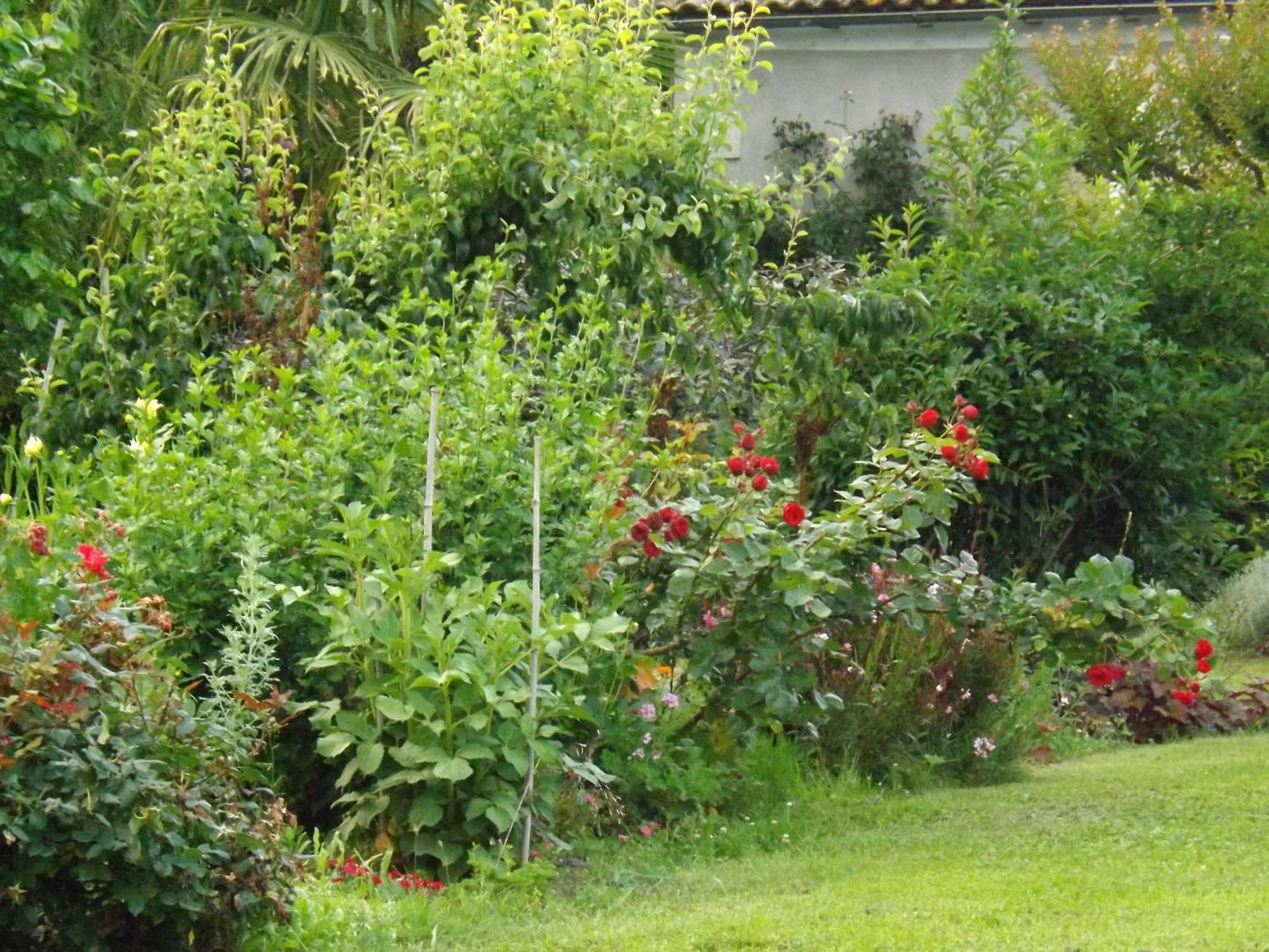 Damechouette Bed & Breakfast Pujols  Dış mekan fotoğraf